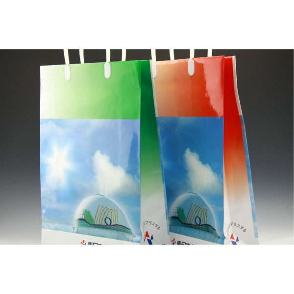 Custom Paper bag with OEM Design
